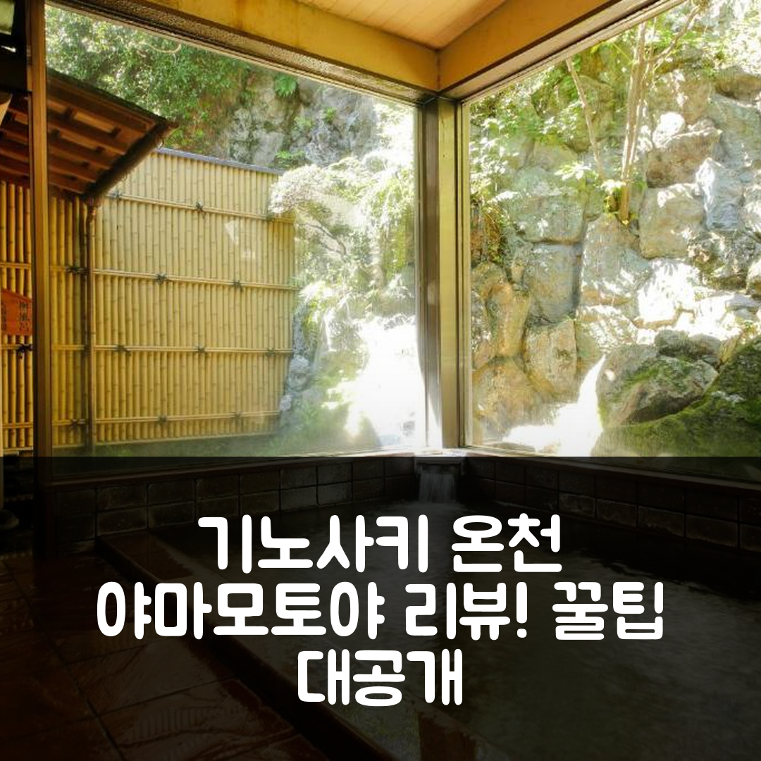 기노사키 야마모토야 도요카 리뷰 & 꿀팁!